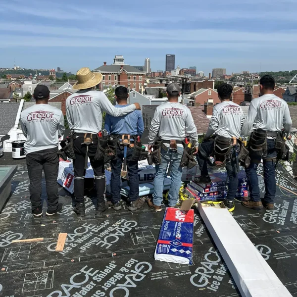team-roof